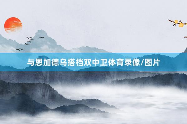 与恩加德乌搭档双中卫体育录像/图片