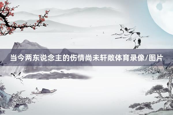 当今两东说念主的伤情尚未轩敞体育录像/图片