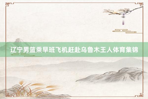 辽宁男篮乘早班飞机赶赴乌鲁木王人体育集锦