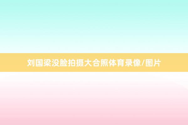 刘国梁没脸拍摄大合照体育录像/图片