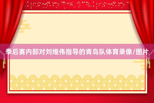 季后赛内部对刘维伟指导的青岛队体育录像/图片