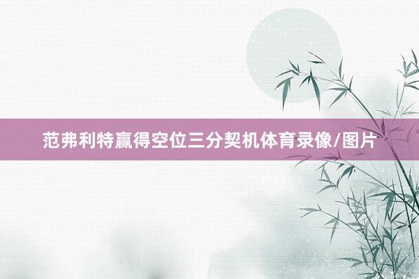 范弗利特赢得空位三分契机体育录像/图片