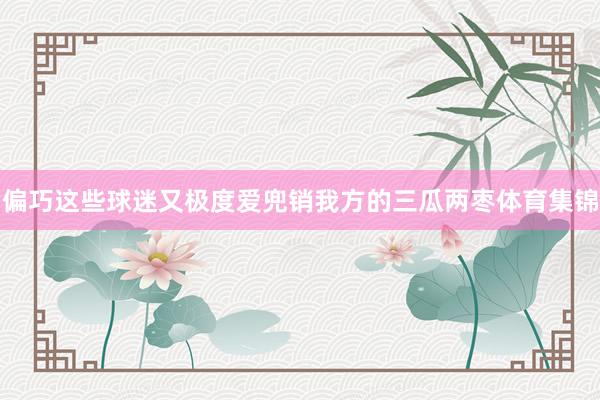 偏巧这些球迷又极度爱兜销我方的三瓜两枣体育集锦