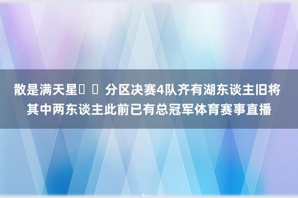 散是满天星⭐️分区决赛4队齐有湖东谈主旧将 其中两东谈主此前已有总冠军体育赛事直播