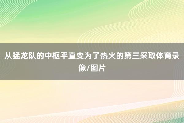 从猛龙队的中枢平直变为了热火的第三采取体育录像/图片