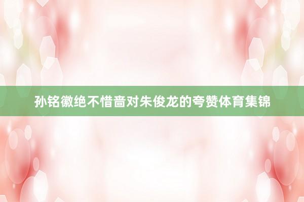 孙铭徽绝不惜啬对朱俊龙的夸赞体育集锦