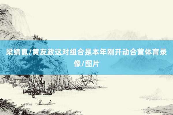 梁靖崑/黄友政这对组合是本年刚开动合营体育录像/图片