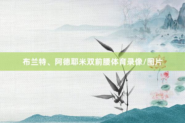 布兰特、阿德耶米双前腰体育录像/图片