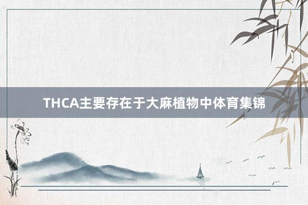 THCA主要存在于大麻植物中体育集锦