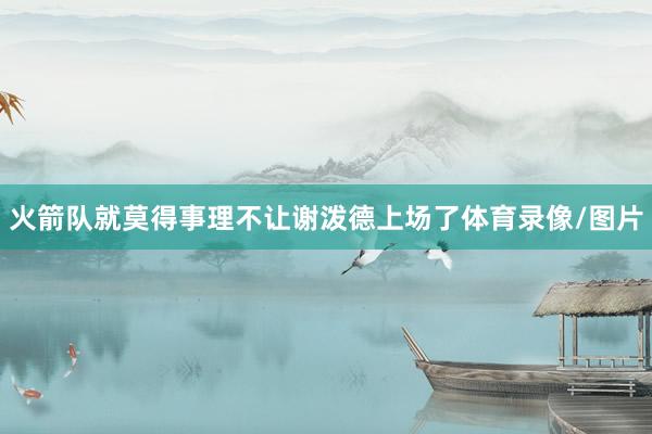 火箭队就莫得事理不让谢泼德上场了体育录像/图片