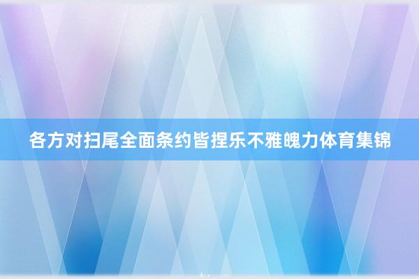 各方对扫尾全面条约皆捏乐不雅魄力体育集锦