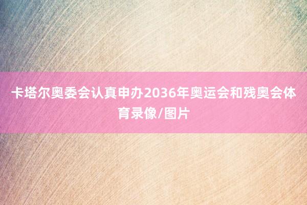 卡塔尔奥委会认真申办2036年奥运会和残奥会体育录像/图片