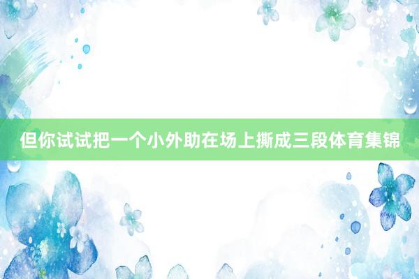 但你试试把一个小外助在场上撕成三段体育集锦
