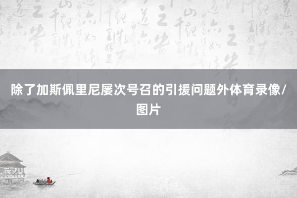 除了加斯佩里尼屡次号召的引援问题外体育录像/图片
