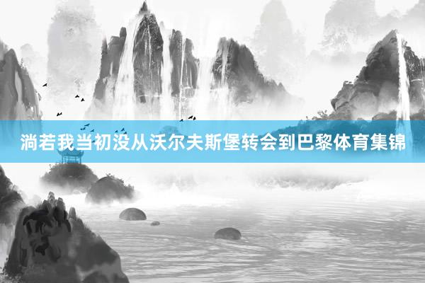 淌若我当初没从沃尔夫斯堡转会到巴黎体育集锦