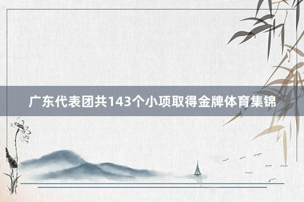 广东代表团共143个小项取得金牌体育集锦