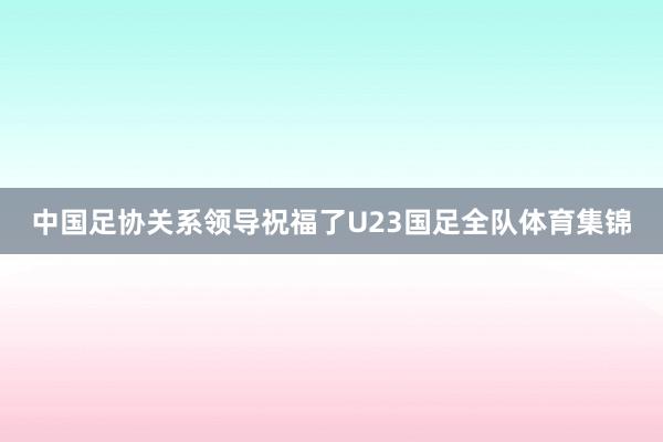 中国足协关系领导祝福了U23国足全队体育集锦