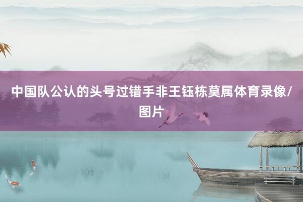 中国队公认的头号过错手非王钰栋莫属体育录像/图片
