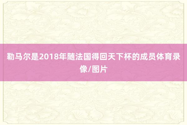 勒马尔是2018年随法国得回天下杯的成员体育录像/图片