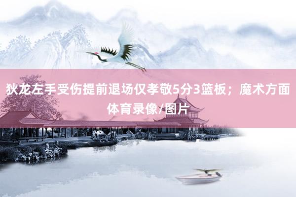 狄龙左手受伤提前退场仅孝敬5分3篮板；魔术方面体育录像/图片