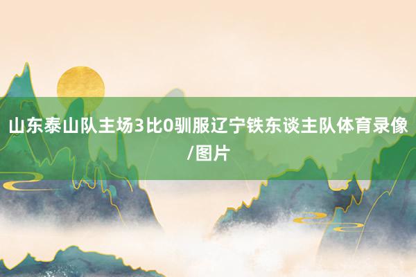 山东泰山队主场3比0驯服辽宁铁东谈主队体育录像/图片
