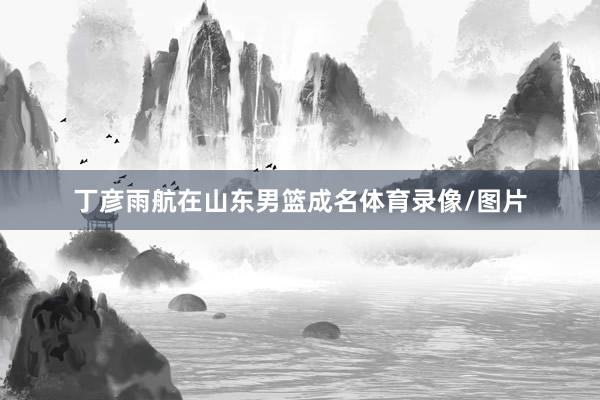 丁彦雨航在山东男篮成名体育录像/图片