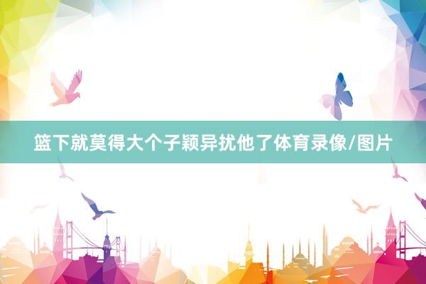 篮下就莫得大个子颖异扰他了体育录像/图片