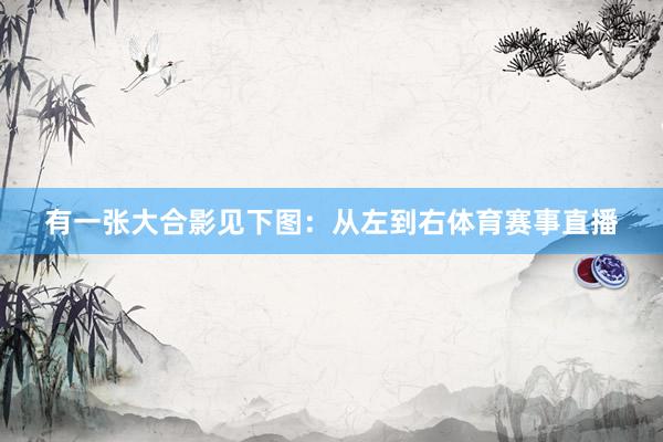 有一张大合影见下图:从左到右体育赛事直播