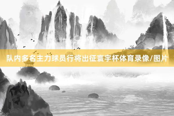 队内多名主力球员行将出征寰宇杯体育录像/图片
