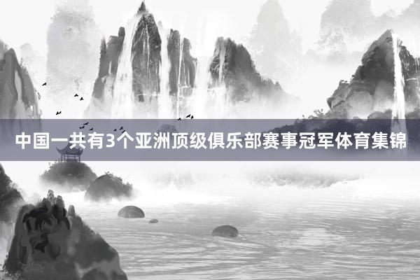 中国一共有3个亚洲顶级俱乐部赛事冠军体育集锦