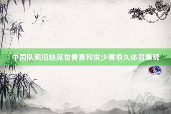 中国队照旧缺席世青赛和世少赛很久体育集锦