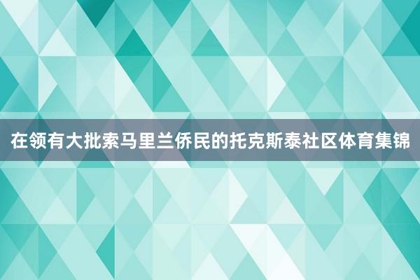 在领有大批索马里兰侨民的托克斯泰社区体育集锦