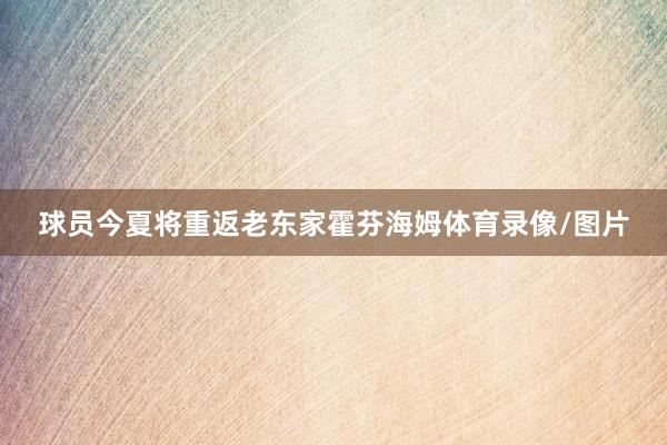 球员今夏将重返老东家霍芬海姆体育录像/图片