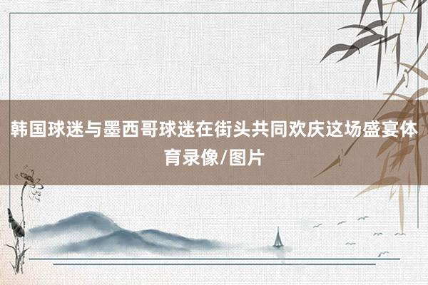 韩国球迷与墨西哥球迷在街头共同欢庆这场盛宴体育录像/图片